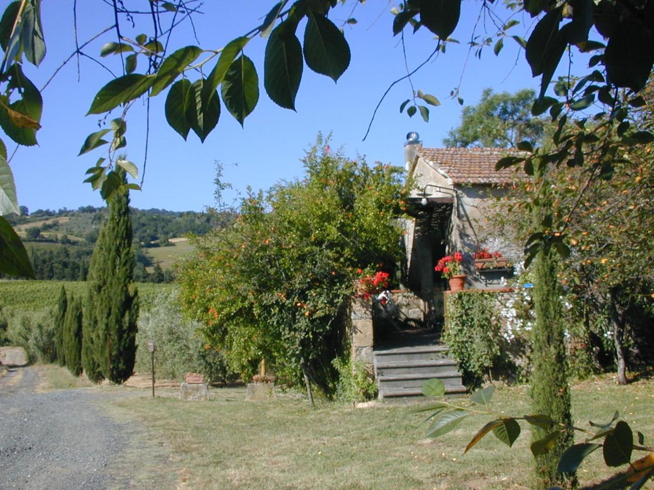 Piccolo Sole Villa Montescudaio Dış mekan fotoğraf