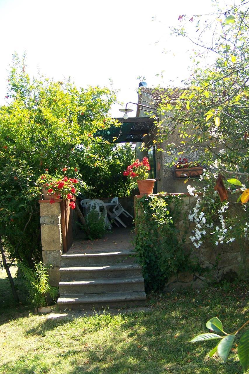 Piccolo Sole Villa Montescudaio Dış mekan fotoğraf
